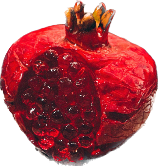 A pomogranade