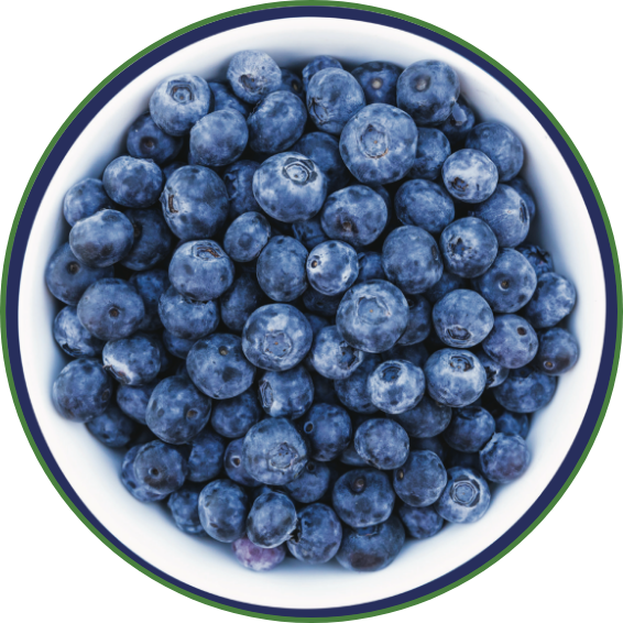 Bowl of Blueberries